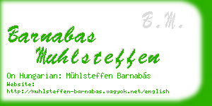 barnabas muhlsteffen business card