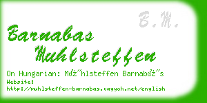 barnabas muhlsteffen business card